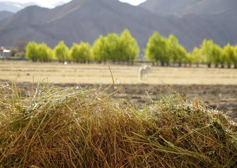 微信图片_20241028093252