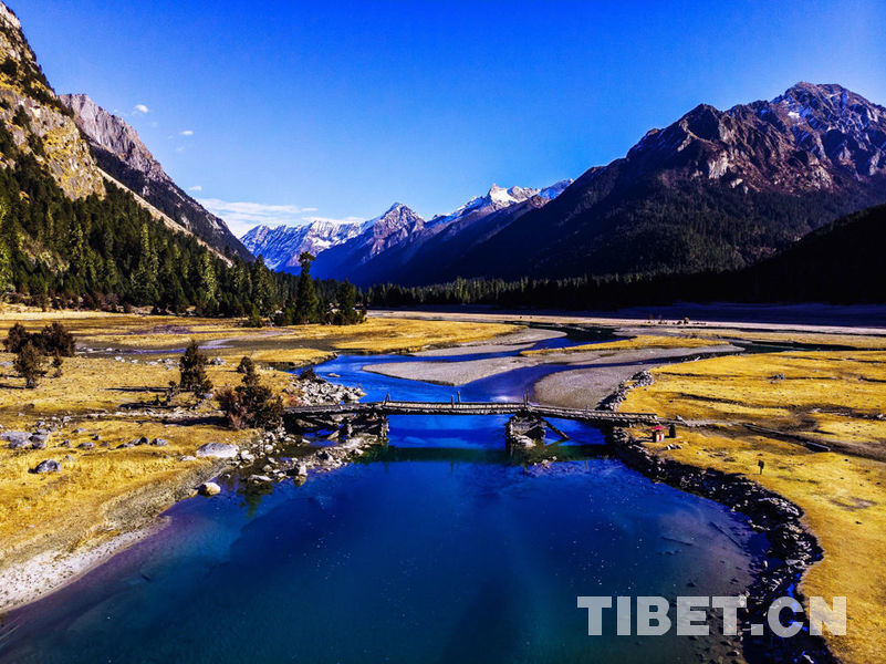 20221191642573697563_62_b (1).jpg