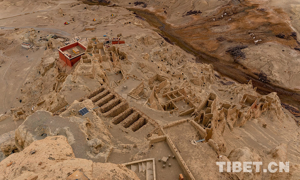 20214191618796965648_270_b